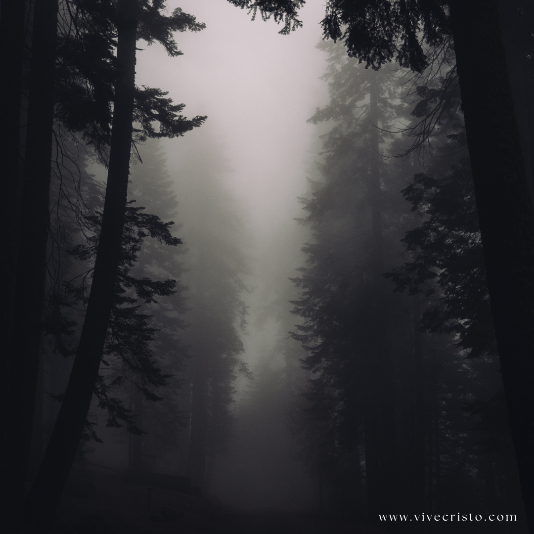 Si Dios existe...porque suceden cosas malas?