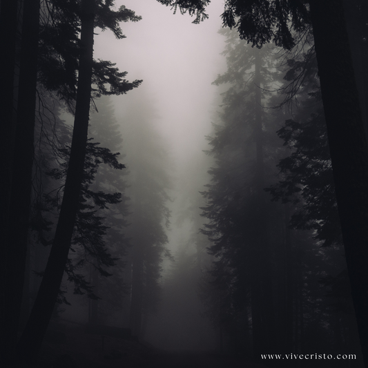 Si Dios existe...porque suceden cosas malas?