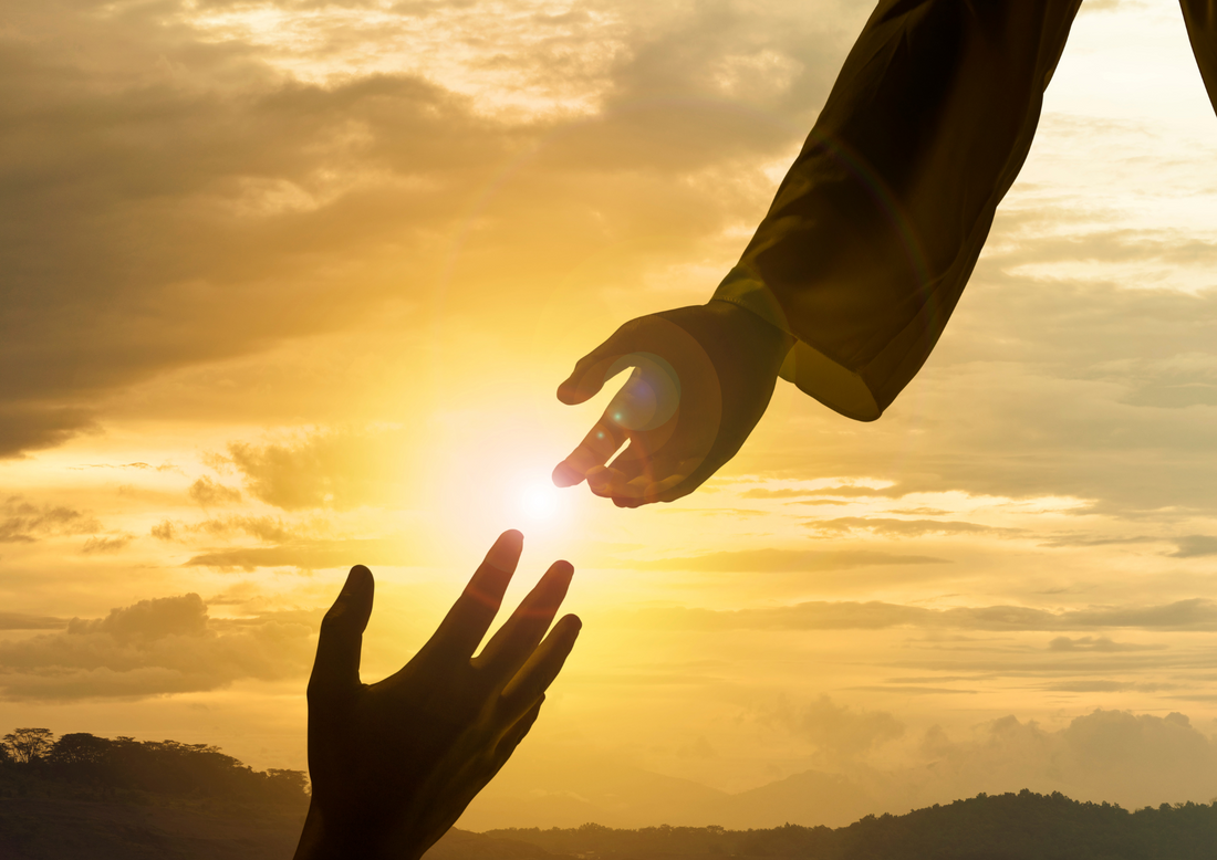 Gracias por visitar nuestra página!