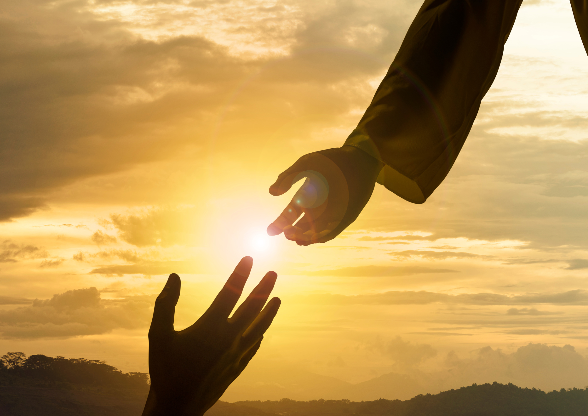 Gracias por visitar nuestra página!